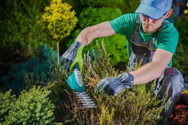 landscaping services Jeromesville
